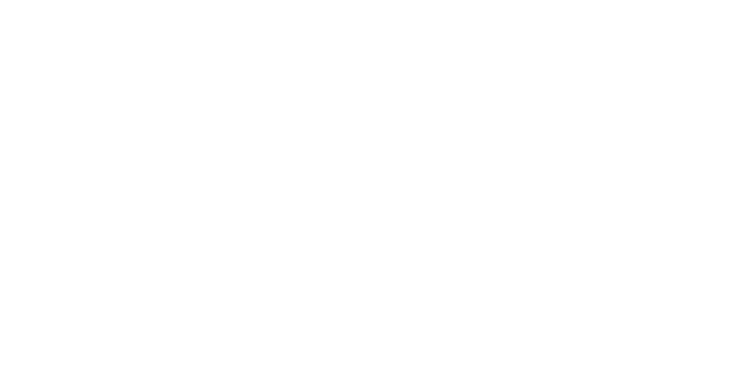 logo-blanc_sonia-salhi